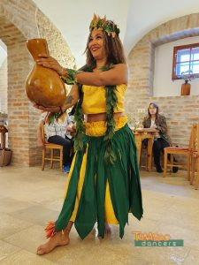 Tumbao Hawaii Show Dancer