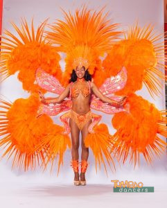Grösstes Samba Kostüm Österreichs