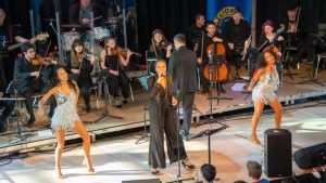 Tina Turner Show - Foto Christoph Mühlböck - Mein Bezirk Ried